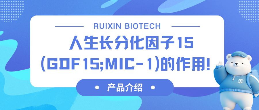 a(chn)ƷBLֻ15GDF-15;MIC-1ã